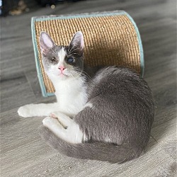 Photo of IVANA