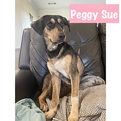 Photo of Peggy Sue