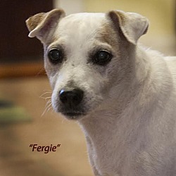 Thumbnail photo of FERGIE #1