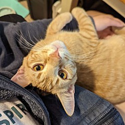 Photo of Ryuu