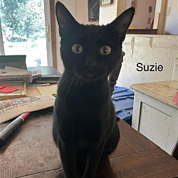 Photo of Susie