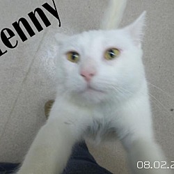 Thumbnail photo of Lenny #2