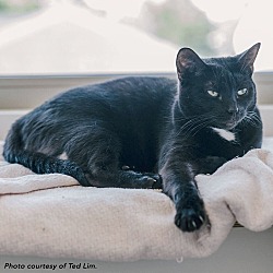 Thumbnail photo of Esme #1