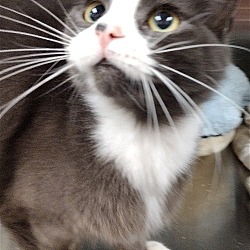 Photo of Tilly