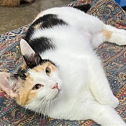 Photo of Campbell