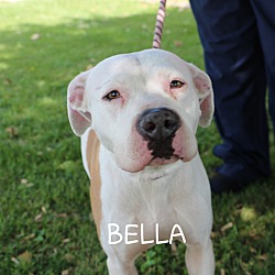 Thumbnail photo of BELLA #1