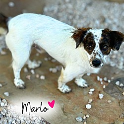 Photo of Marlo