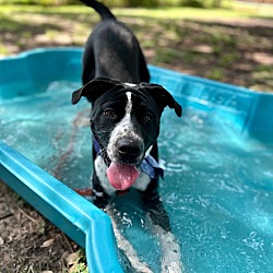 Thumbnail photo of Boots The Polka Dot Boy #2