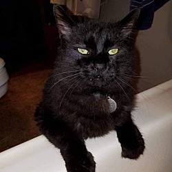 Photo of Big Guy