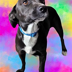 Thumbnail photo of Jasmine #3