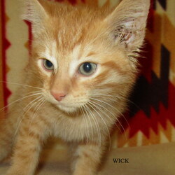 Photo of Wick