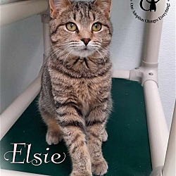 Photo of Elsie