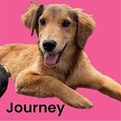 Thumbnail photo of Journey #1