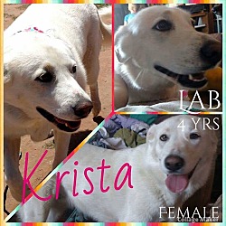 Photo of Krista
