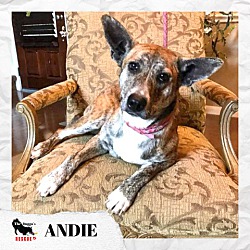 Photo of Andie