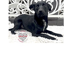 Photo of Julio