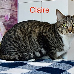 Thumbnail photo of Claire #1