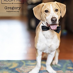Thumbnail photo of Gregory #1