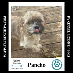 Thumbnail photo of Pancho 090724 #4