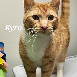 Photo of Kyro