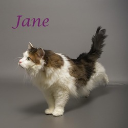 Photo of Jane C24-189