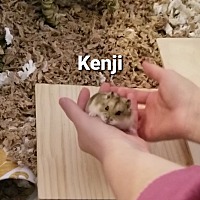 Photo of Kenji