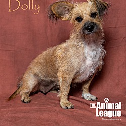 Thumbnail photo of Dolly #4