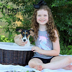 Thumbnail photo of Tipsy ~ meet me! #3