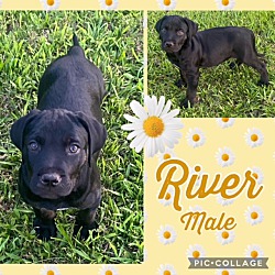 Photo of River meet 6/9