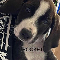 Photo of Rocket