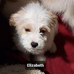 Photo of Elizabeth