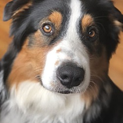 Photo of Fin