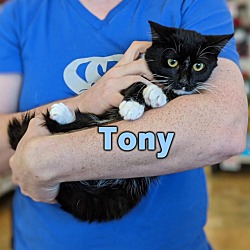 Thumbnail photo of Tony #3