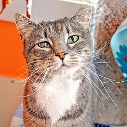 Thumbnail photo of Bailey #3