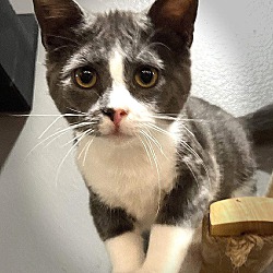 Photo of Ralphie