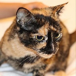 Photo of Precious