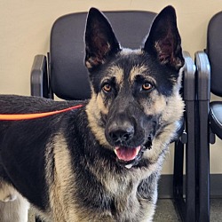 Photo of Axel