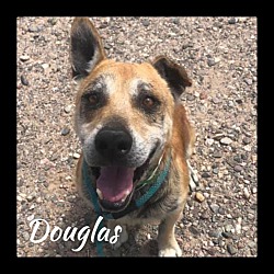 Thumbnail photo of Douglas #1