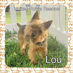 Thumbnail photo of Lou #1