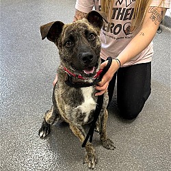 Photo of Jax