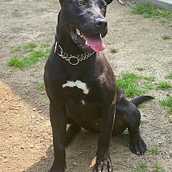 Photo of Harper