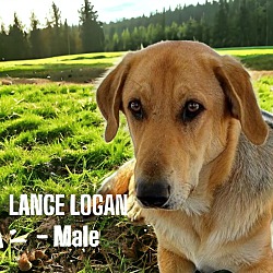 Photo of Lance Logan