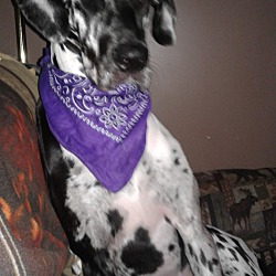 Photo of Quinn