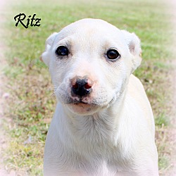 Thumbnail photo of Ritz ~ meet me! #1
