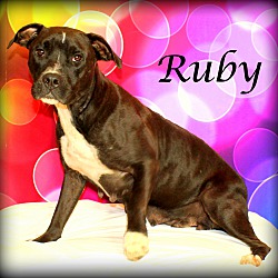 Thumbnail photo of Ruby ~ meet me! ~ #3