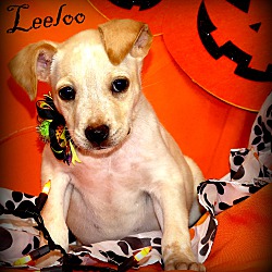 Thumbnail photo of Leelo ~ meet me! #3