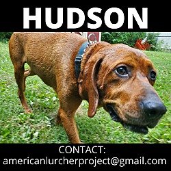 Thumbnail photo of Hudson #2