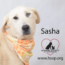 Thumbnail photo of Sasha #3