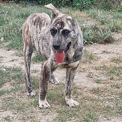 Photo of Zeus