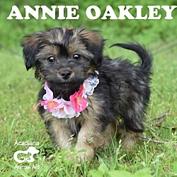 Thumbnail photo of Annie Oakley #3